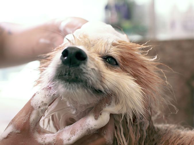 丁寧な
カウンセリング